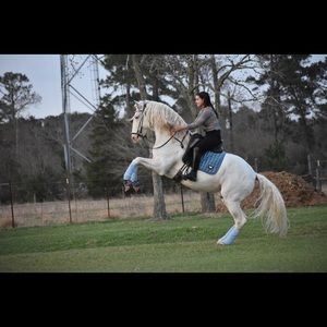 Meet your Posher, Barbara